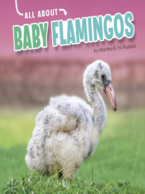 cover image of All About Baby Flamingos